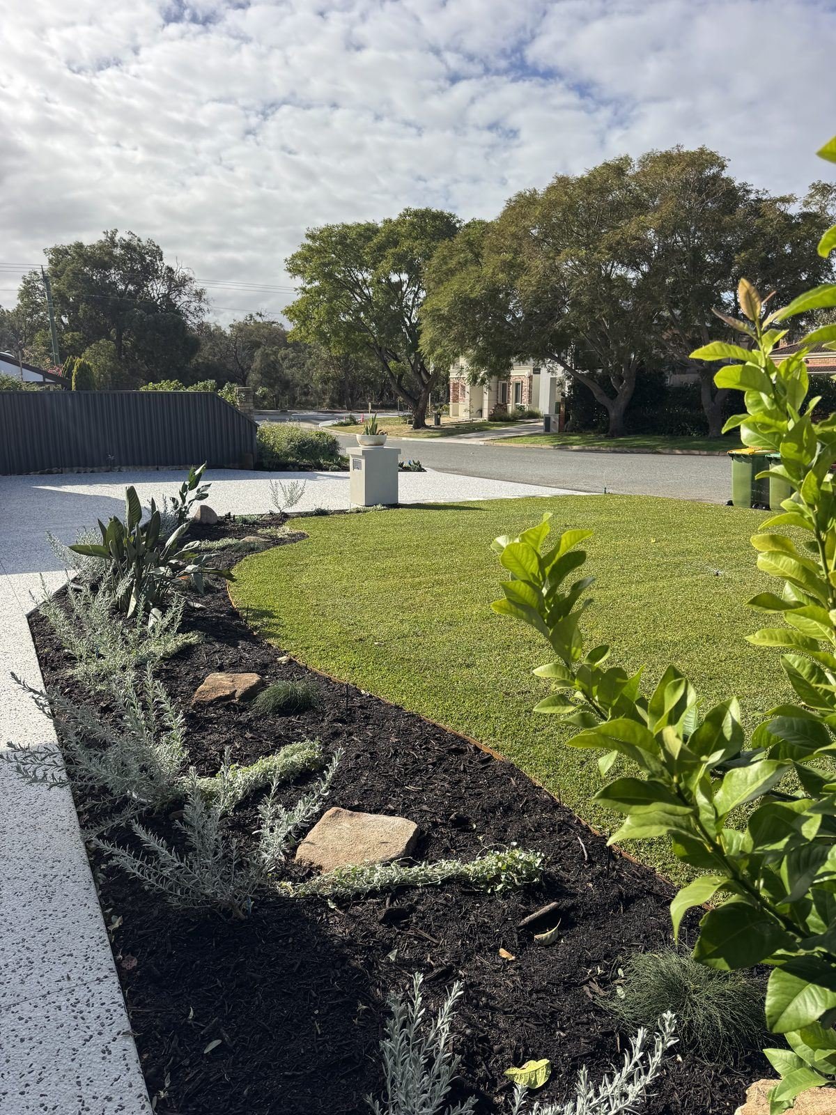 Booragoon landscaping project by Herbs Coastal Landscapes, Perth — photo 2 of 4