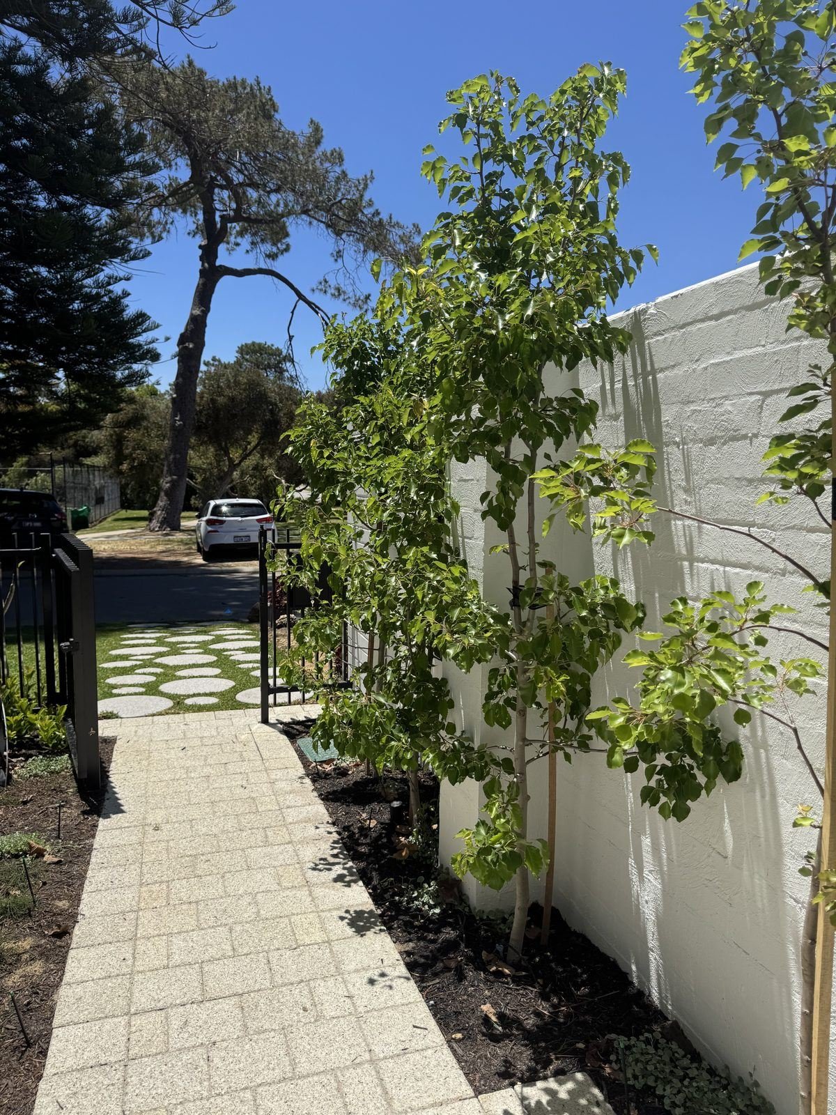 Cottesloe landscaping project by Herbs Coastal Landscapes, Perth — photo 1 of 4